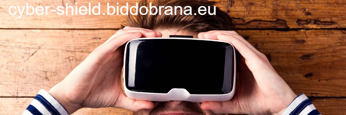 cyber-shield.biddobrana.eu